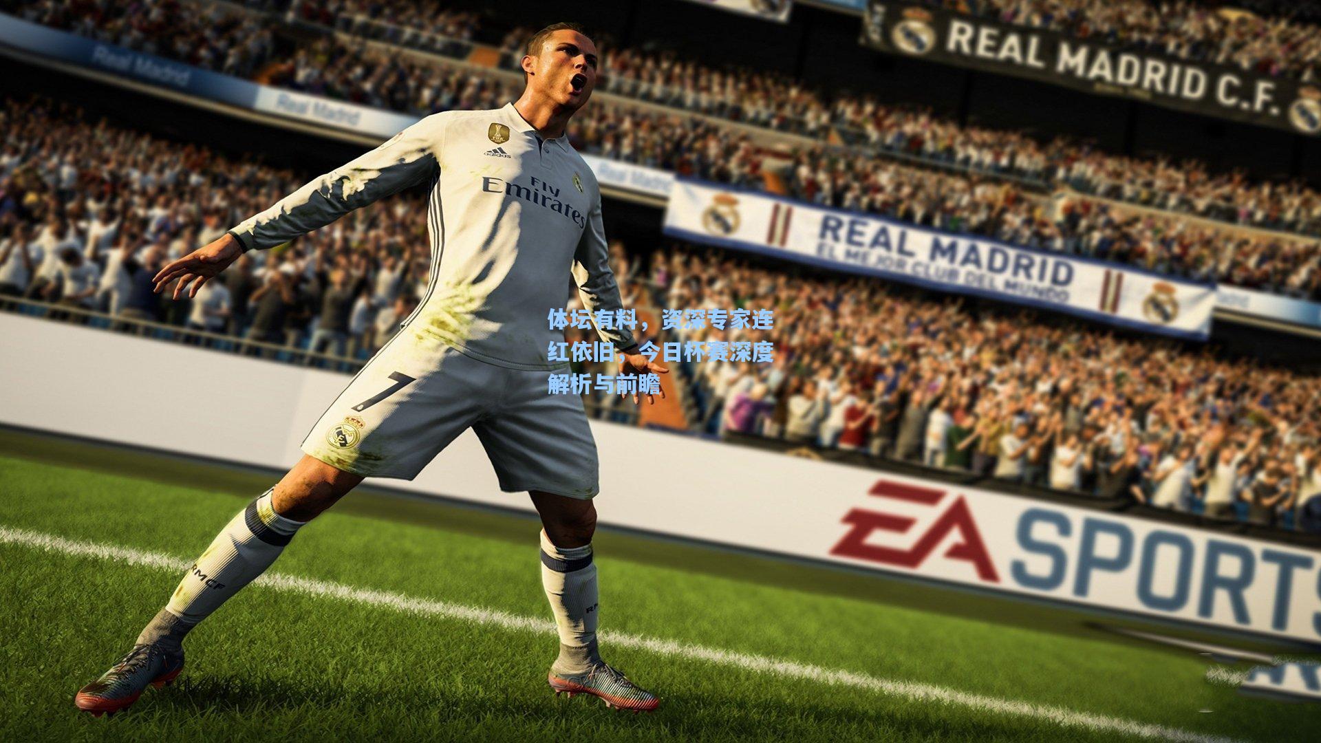 体坛有料，资深专家连红依旧，今日杯赛深度解析与前瞻